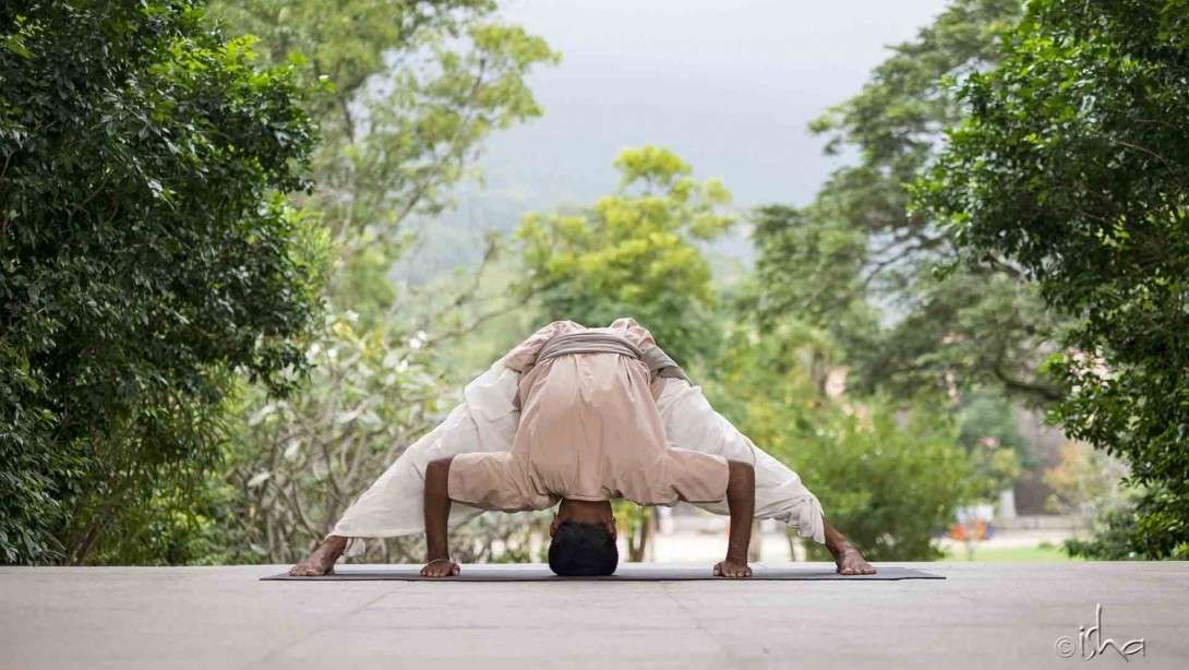Basic Yoga. Routine of nine asanas.
