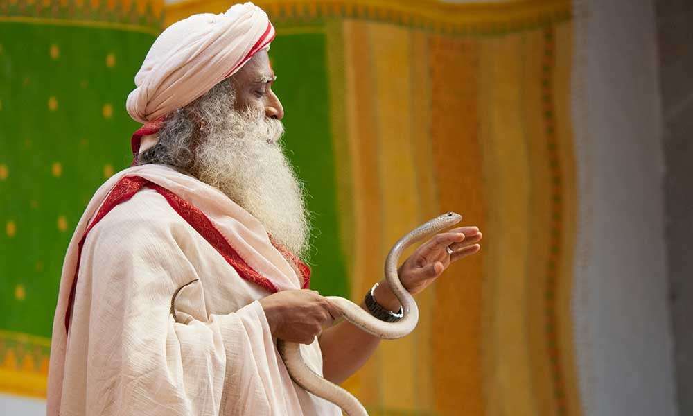 Snakes in Sadhguru’s Life