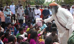 Tsunami Response Report