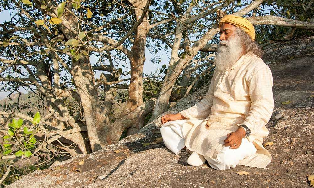 Rus jinsiy partiyalar