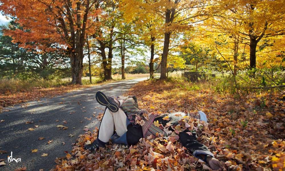 Fall Time