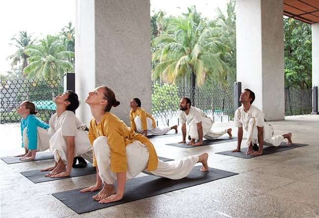 Surya Kriya Practice by Yogis