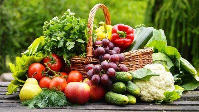 Why Vegetarian?Vegetarian food is far better for the system than non-vegetarian