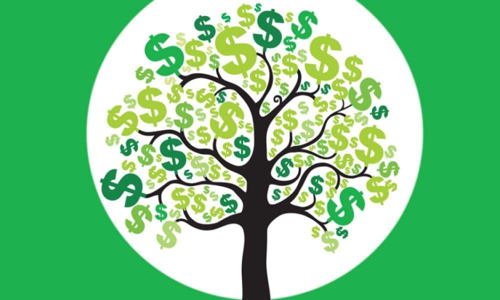 money-grows-on-trees