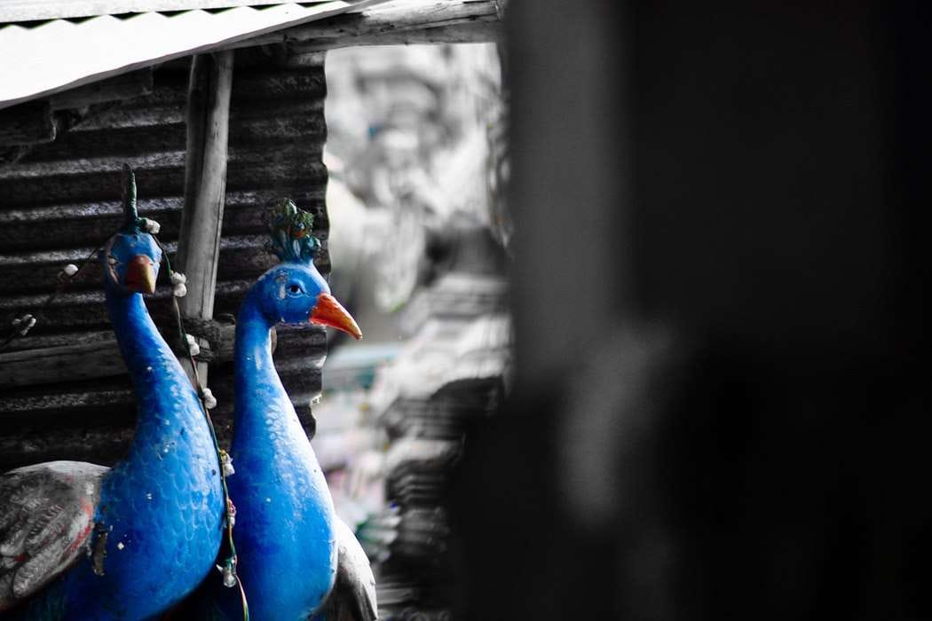 ஆறுபேர் ஓர் உடல் கொண்ட அதிசயம்!