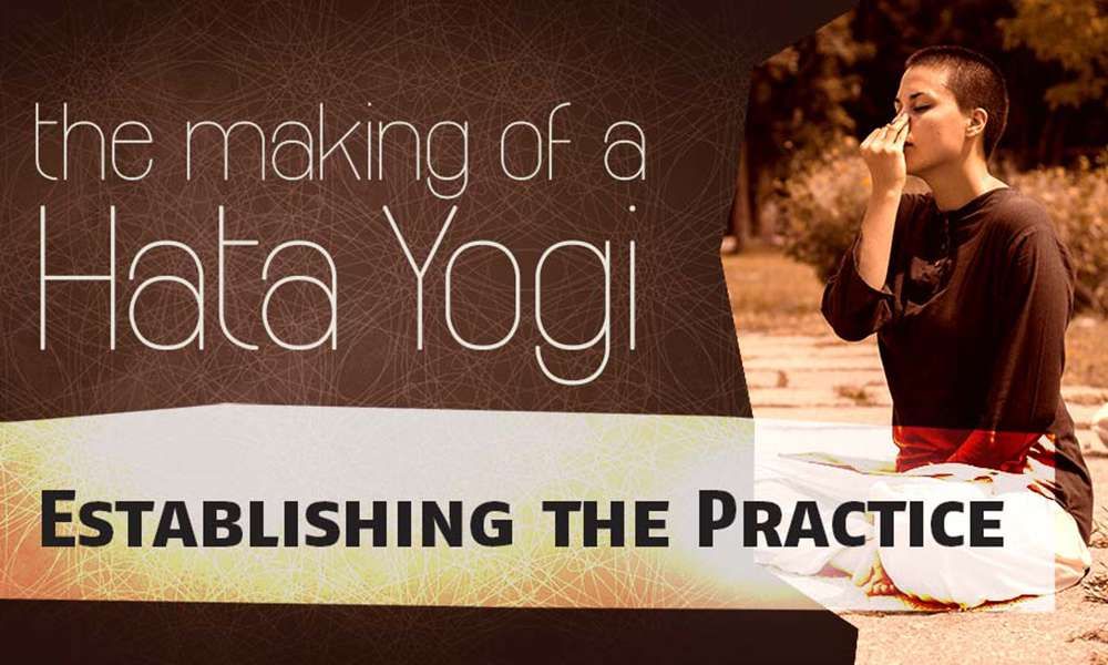 Making-of-Hata-Yogi-Establishing-the-practice