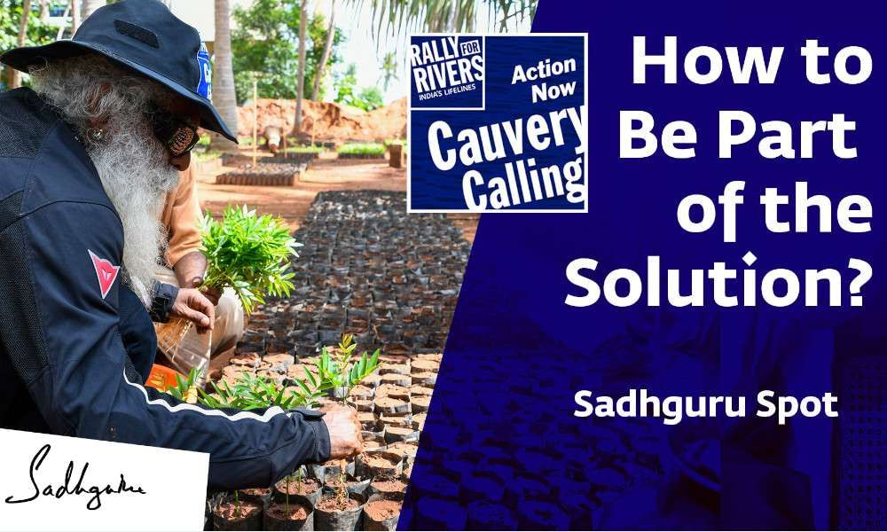 wisdom sadhguru spot | Cauvery Calling: How to Be Part of the Solution?