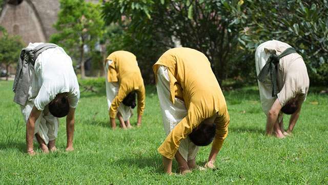 Benefits of neem for Hatha yogi