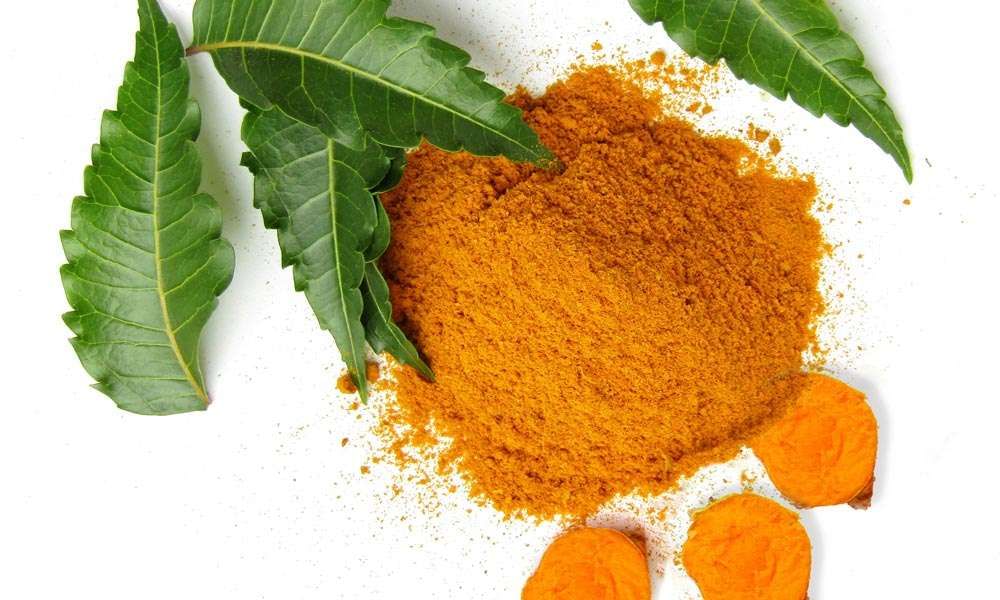 neem leaves and turmeric powder