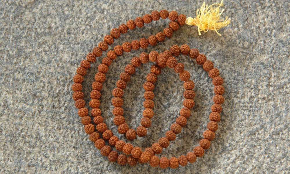 5 Mukhi Rudraksha Stretchable Bracelet