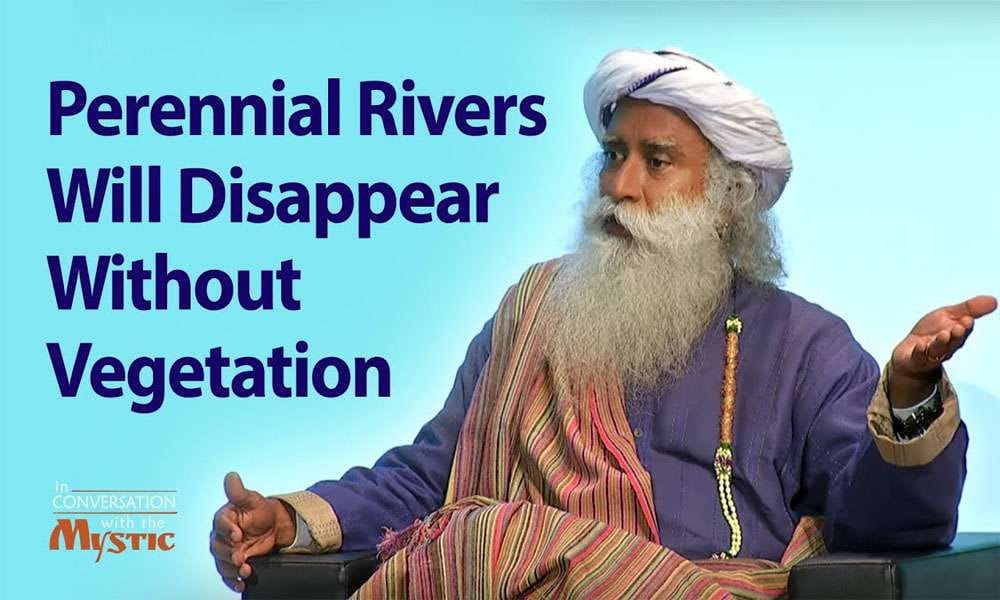 Perennial Rivers Will Disappear Without Vegetation