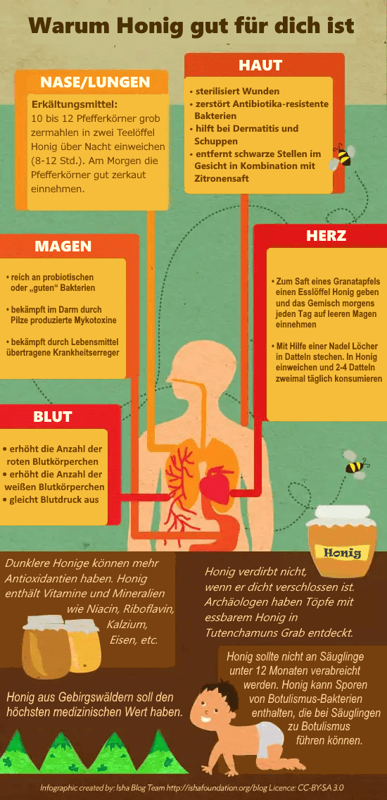 Verwendung von Honig für die Gesundheit