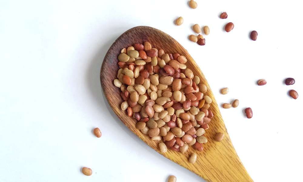 Horse Gram in a wooden spoon