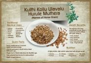 Horse Gram A Super Food 11 Amazing Benefits