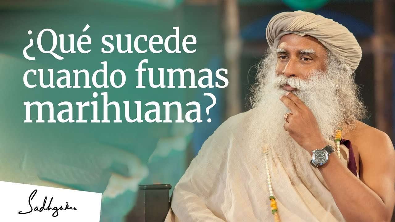 ¿Qué sucede cuando fumas marihuana?