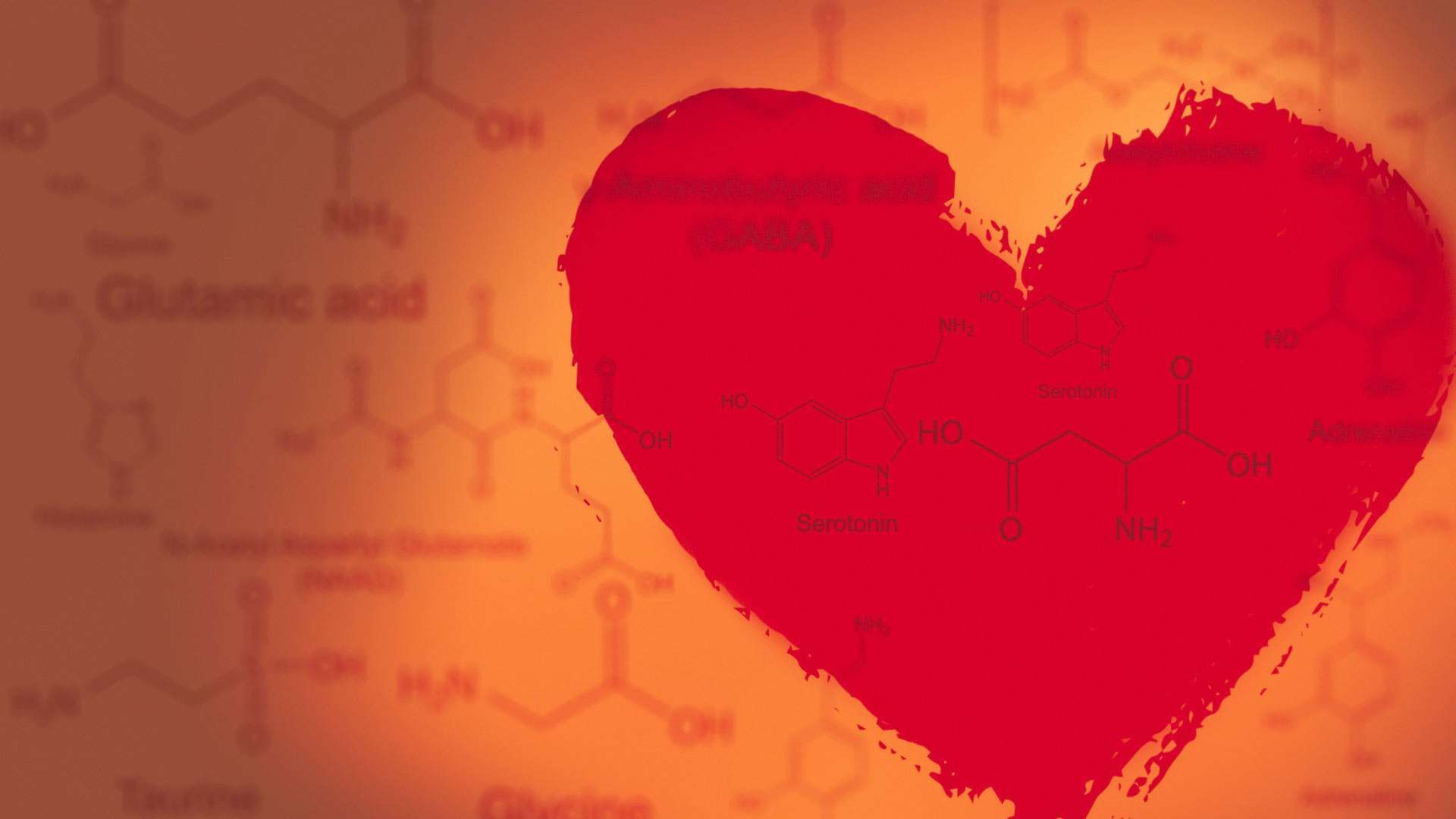 From Chemistry to Love And Vice Versa