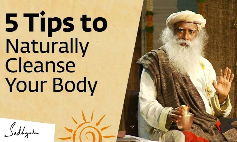 Cleanning Body 5 Tips to Naturally Cleanse Your Body at Home