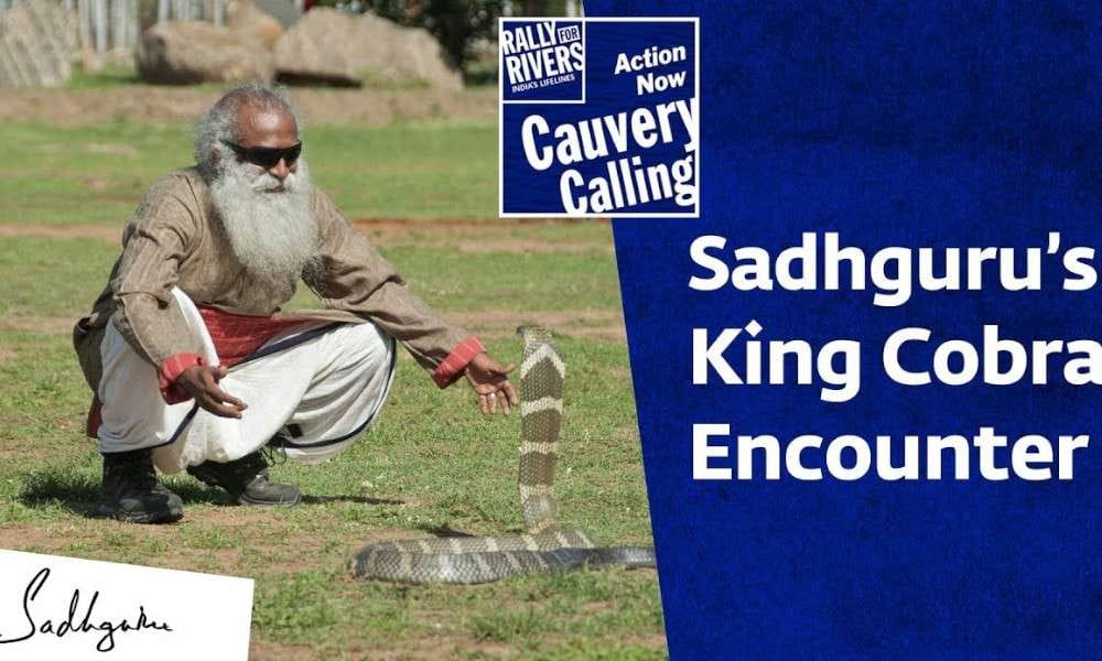 sadhguru wisdom video | Sadhgurus King Cobra Encounter ft Rakshit Shetty & Diganth