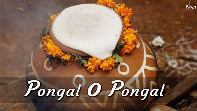 Pongal O Pongal: More Than A Harvest