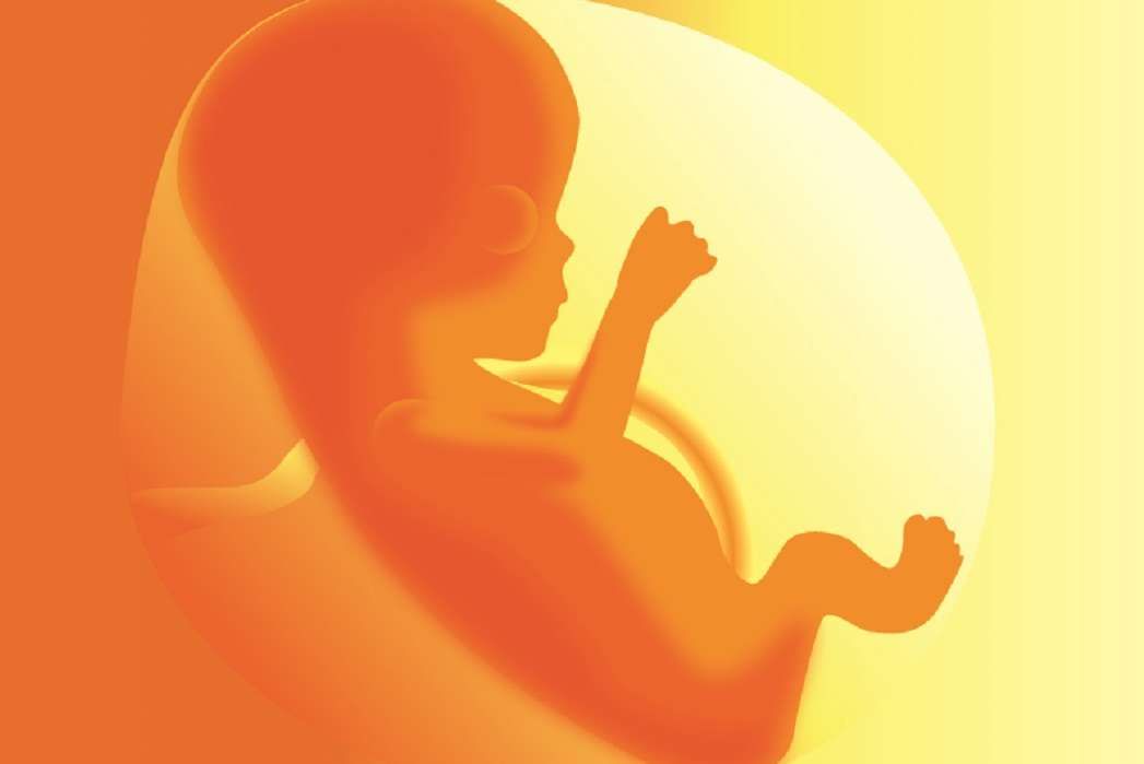 ब्रह्मरंध्र से गर्भ के भ्रूण में प्रवेश करता है जीवन