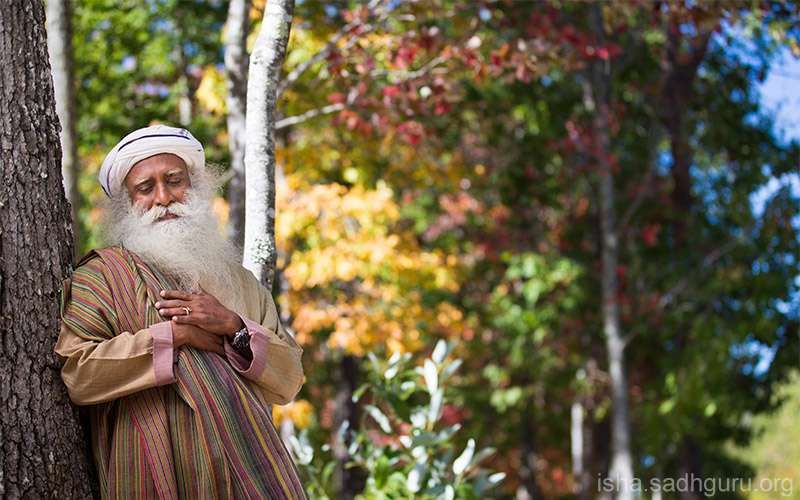 Quotes About Life -  Sadhguru writes: "If you do not know how to become an abode of divine Grace, there are simpler ways of getting there. One simple way is to make your life into a giving.