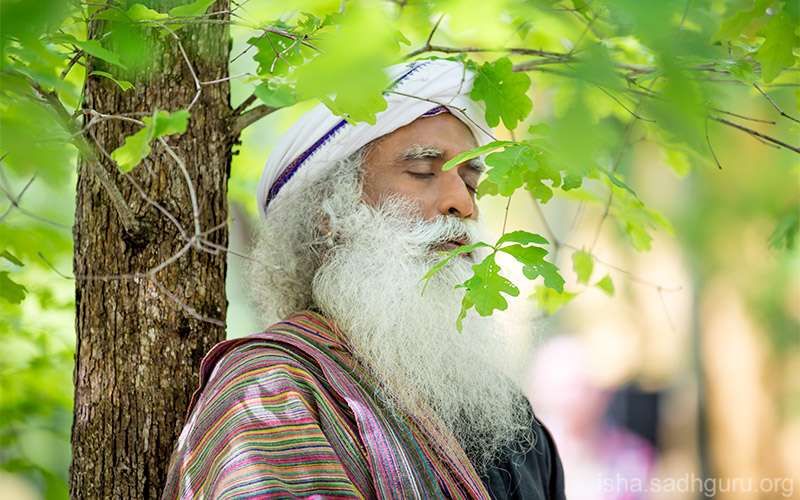 Quotes Inspirational - Sadhguru describes what the word 'yoga' means and does not mean.