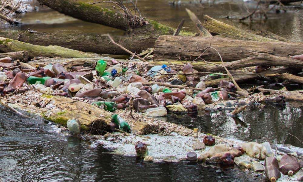 Here’s How We Can Clean Up River Pollution in India