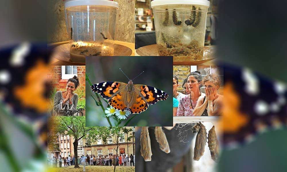 From a Cocooned Existence to a Liberated Life – Butterflies at the Isha Yoga Center, London