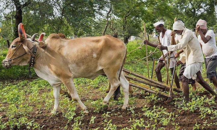भारत की मिट्टी को बचाते हुए भारत के किसानों को बचाना