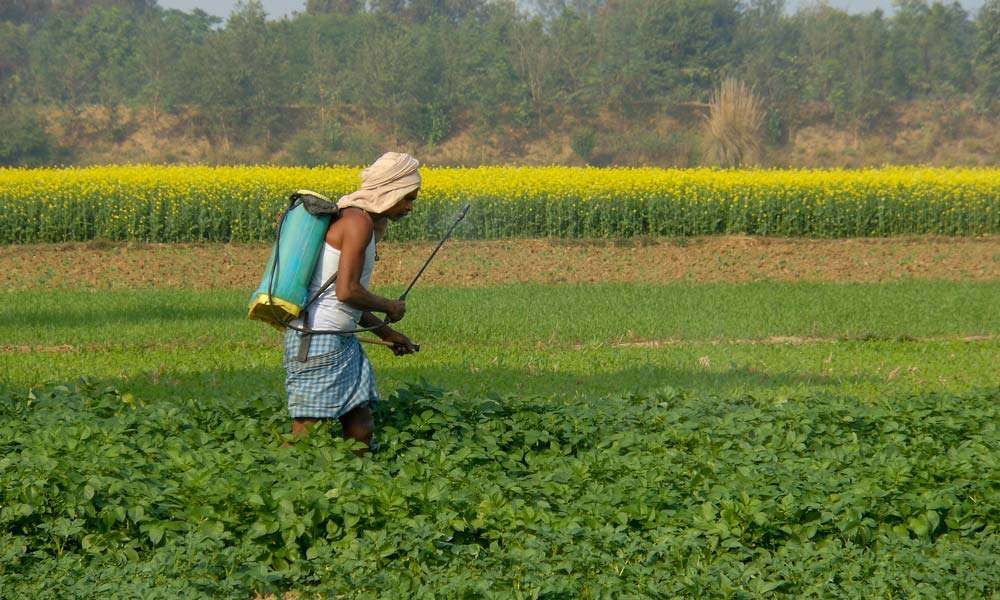 Farmer spraying fertilizer | Saving India’s Farmers by Saving India’s Soils