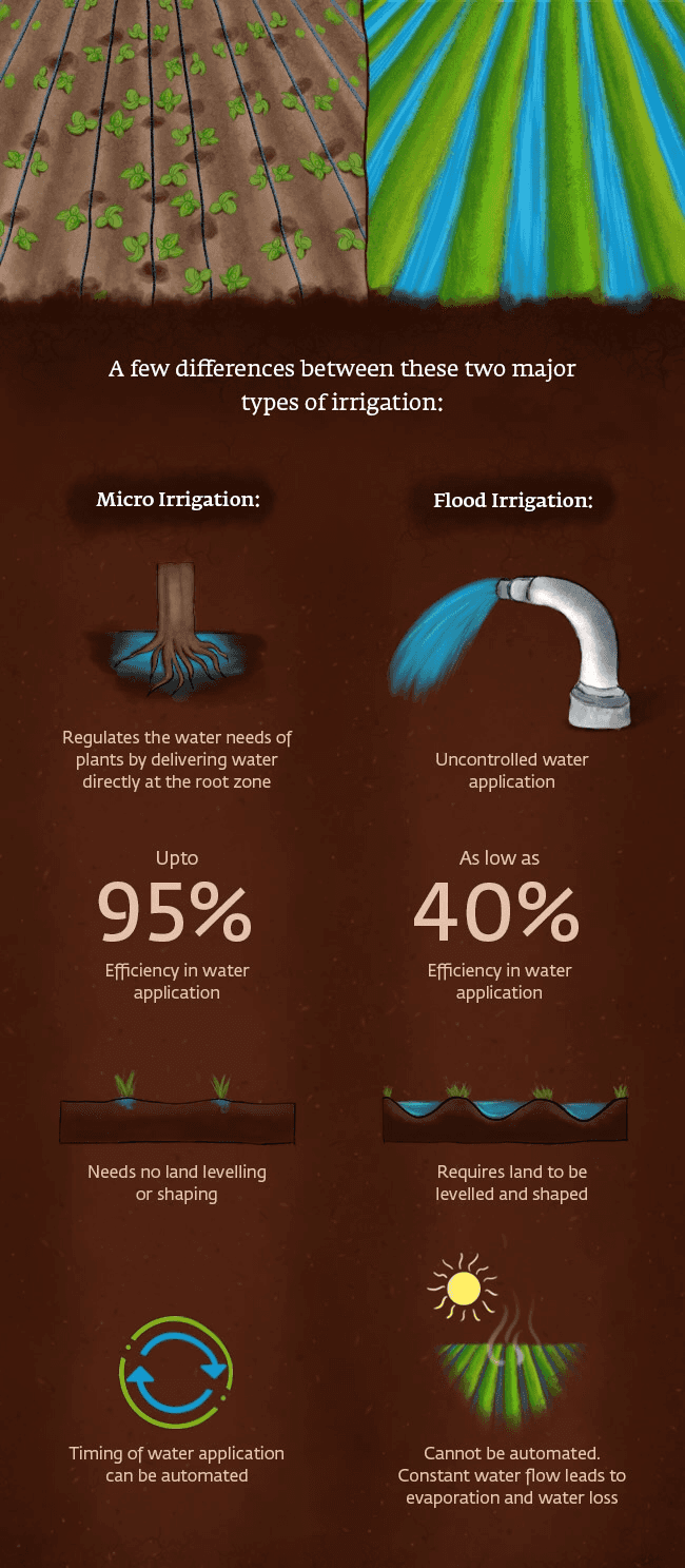 How Are Flood Irrigation and Micro-Irrigation Different?