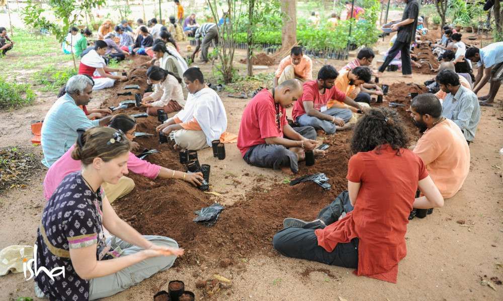 a-movement-that-started-with-a-seed-pgh-volunteers-making-sapling-bags
