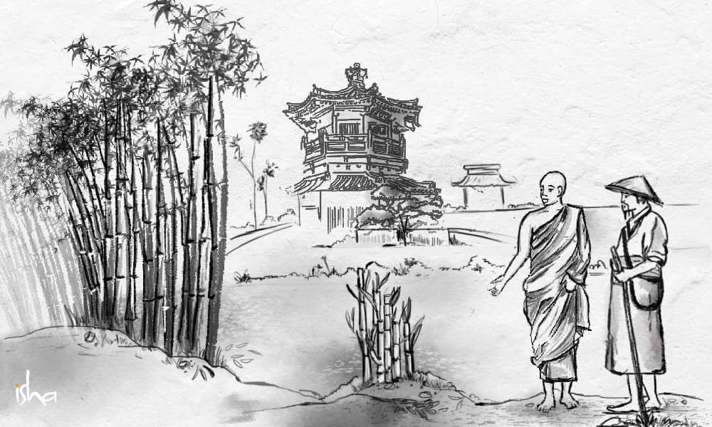 Sadhguru Wisdom Article | These are Bamboos – A Zen Story
