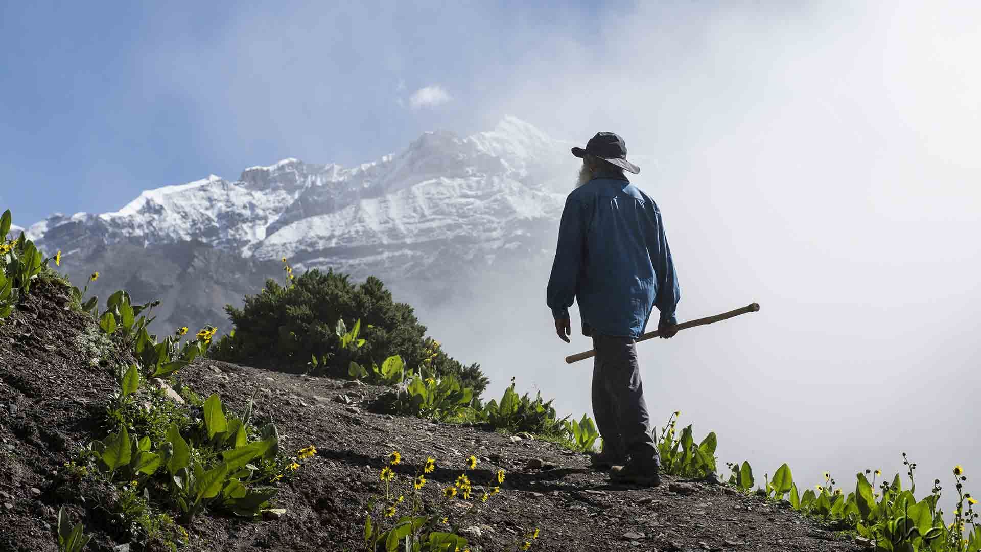 Clearing the Path