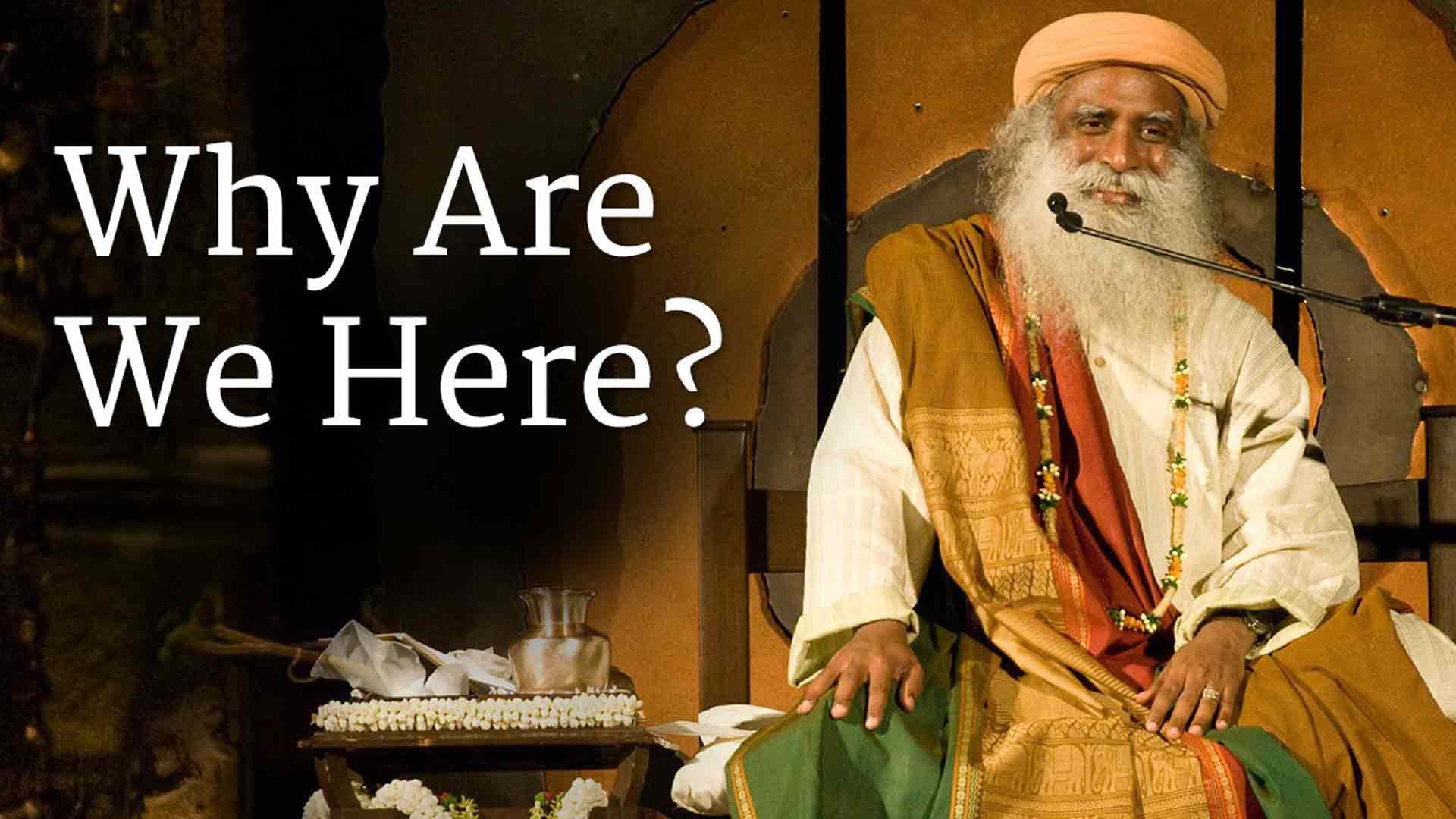 Why Are We Here?