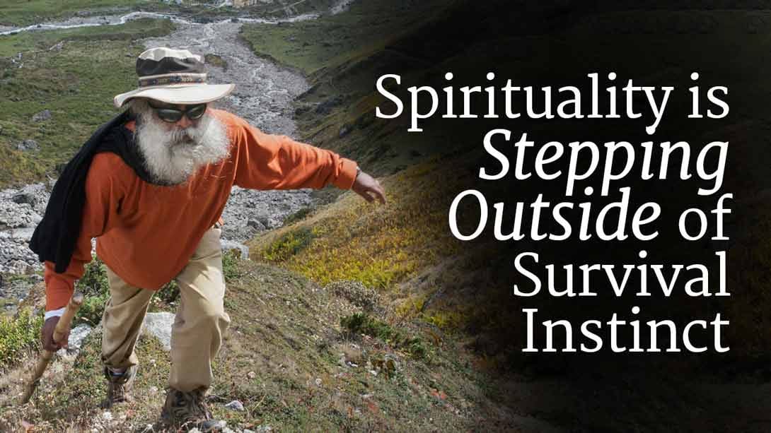 Spirituality is Stepping Outside of Survival Instinct