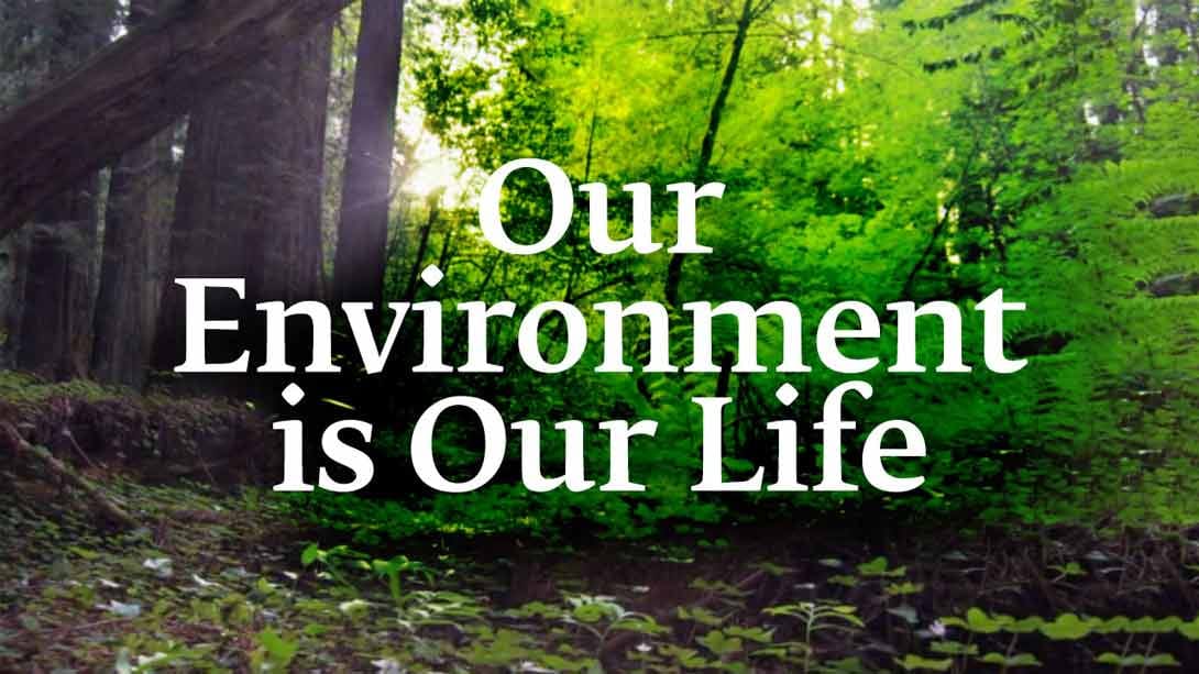 Our Environment is Our Life
