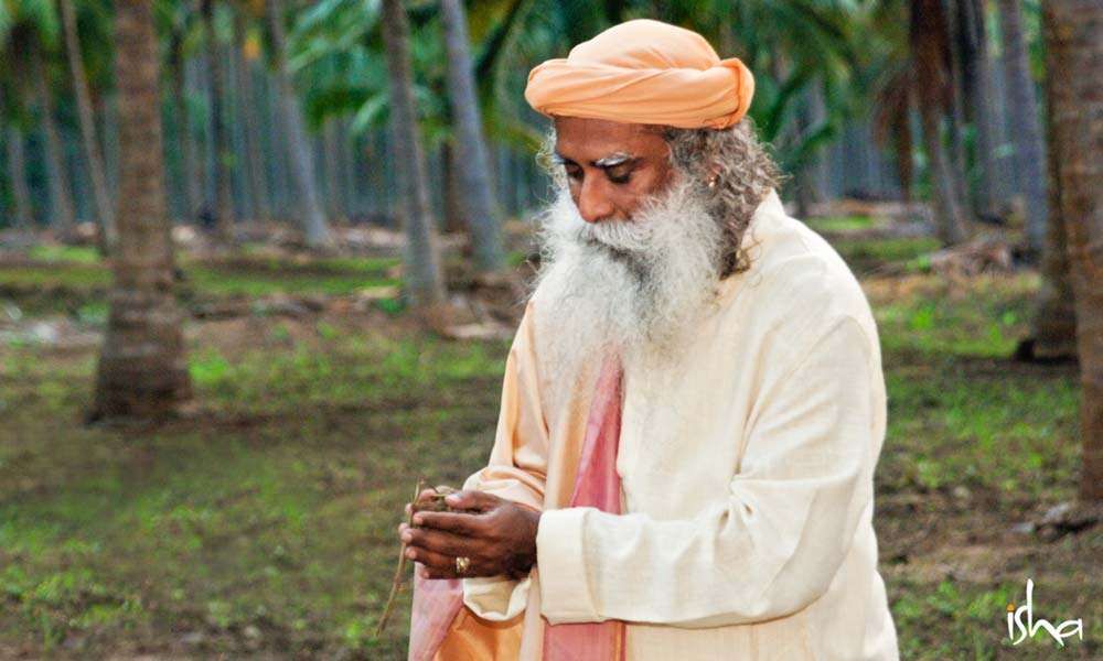 Sadhguru holding soil in his hands