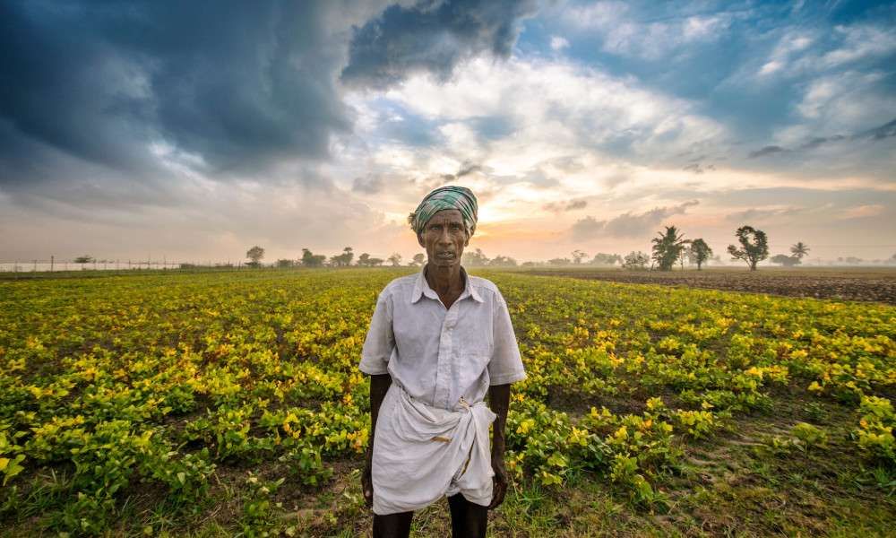 farmers-can-save-tamil-nadu-from-drought-isha-blog-post-farmer-standing.jpeg