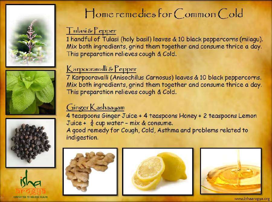 3 Remedies for the Common Cold from Isha Arogya