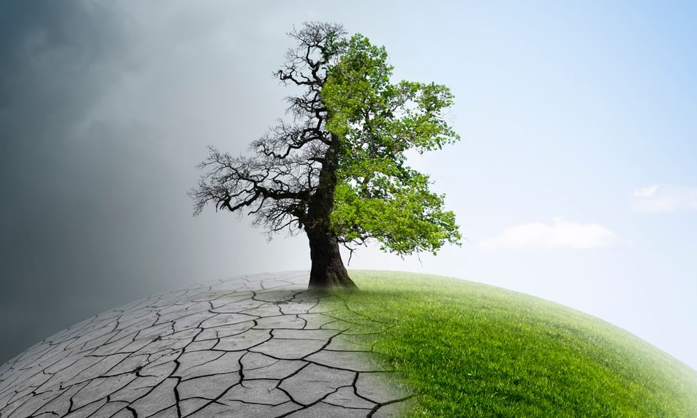 Save Soil movement depicted by a close up of healthy topsoil and grass, plus two hands gently holding the planet earth.