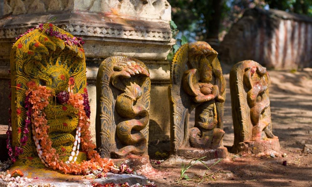 Naga Panchami and the Symbolism of the Snake in Mythology