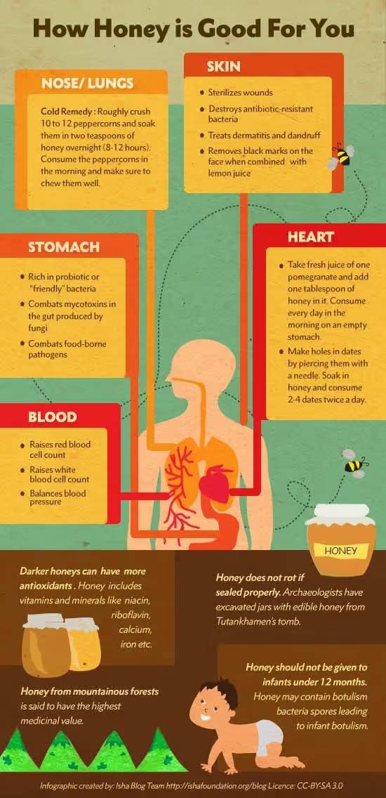 Infography on the benefits of honey