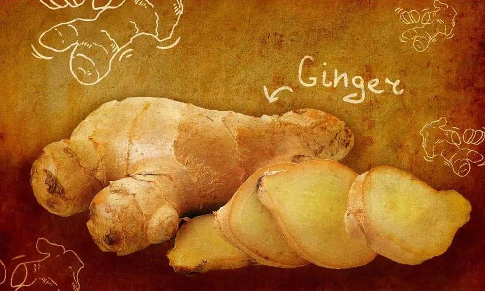 Ginger for diarrhea: Research, dosage, and side effects