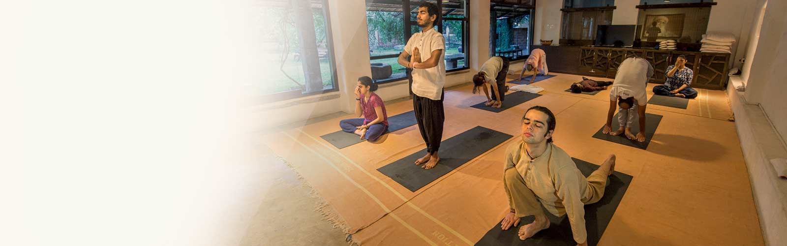 Porno tomosha qilish: kuch bilan mushuk ichida cum