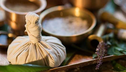 Ayurvedic Therapies