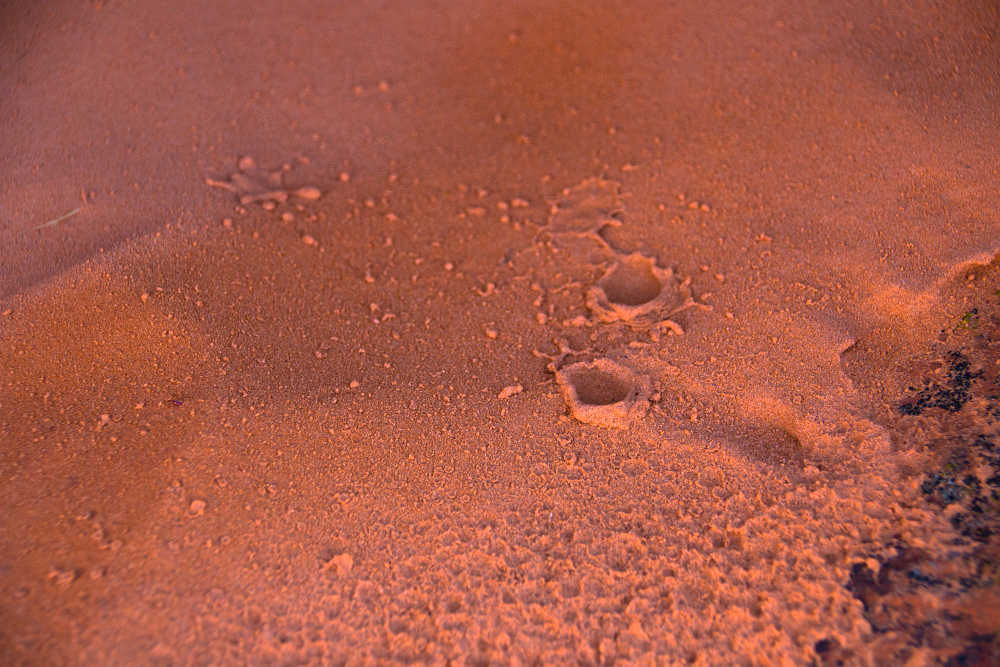 பருவமழை, Rain in red sand
