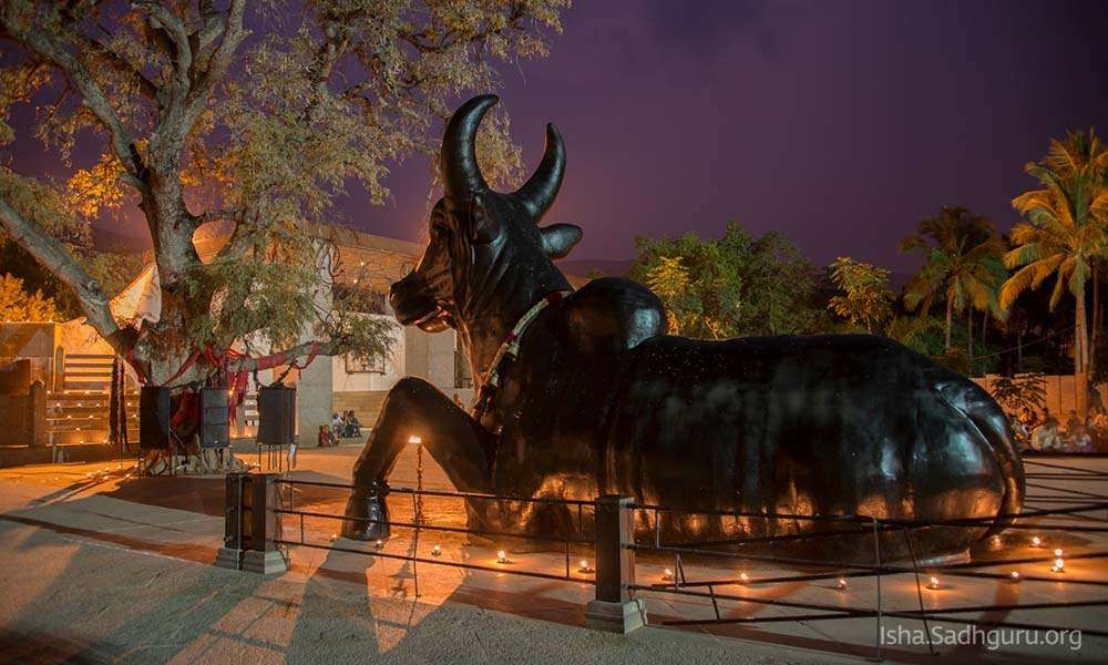 Nandi at night, surrounded by lamps.