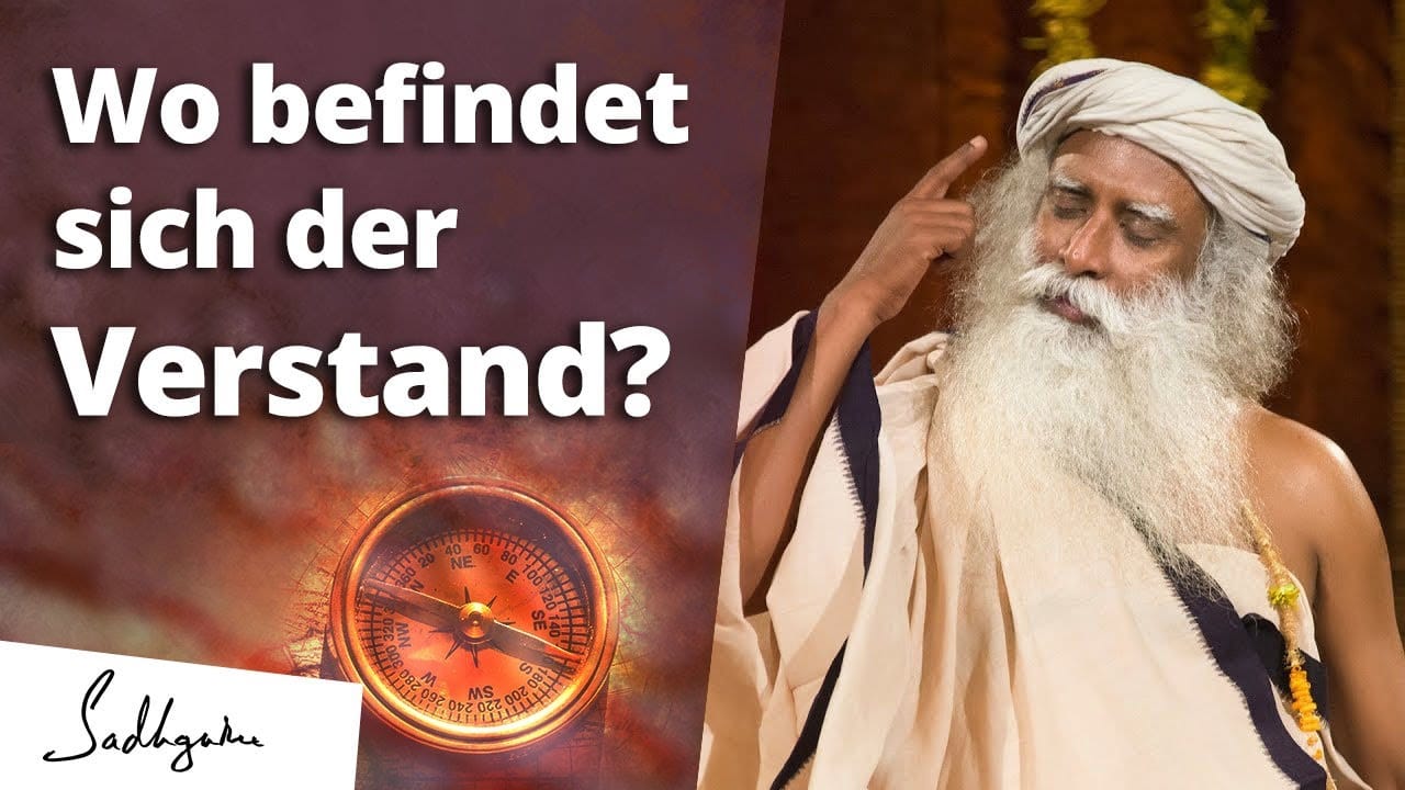 Wo befindet sich der Verstand?
