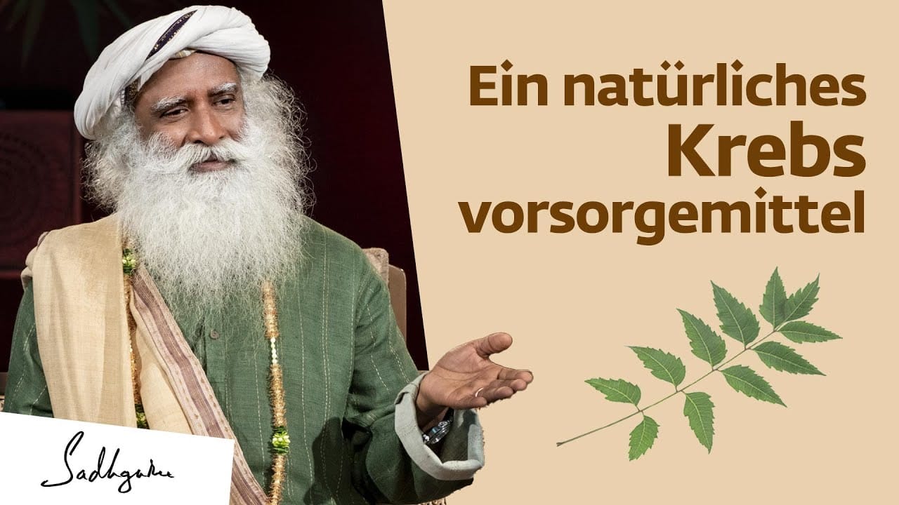 Wie kann man Krebs vorbeugen?